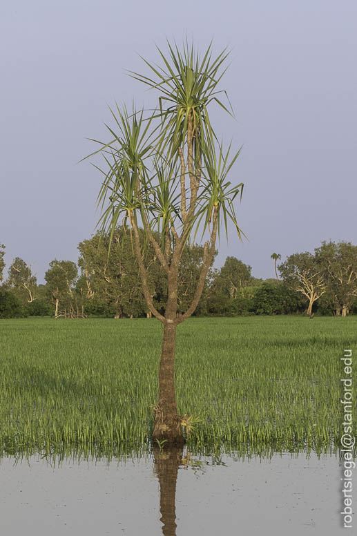 kakadu 2023